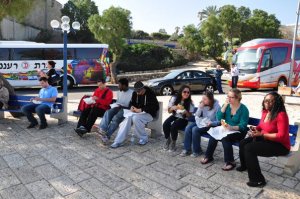 More Falafel & Shawarma