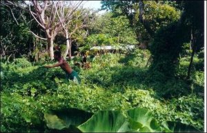 Miki Attempting To Weed Dad's Backyard
