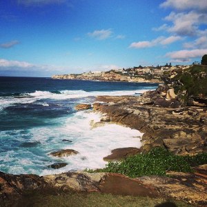 The Neighbourhood!  Bronte!