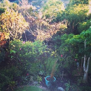 See You Later Backyard Garden [Never Lift A Figure For You, But Still]